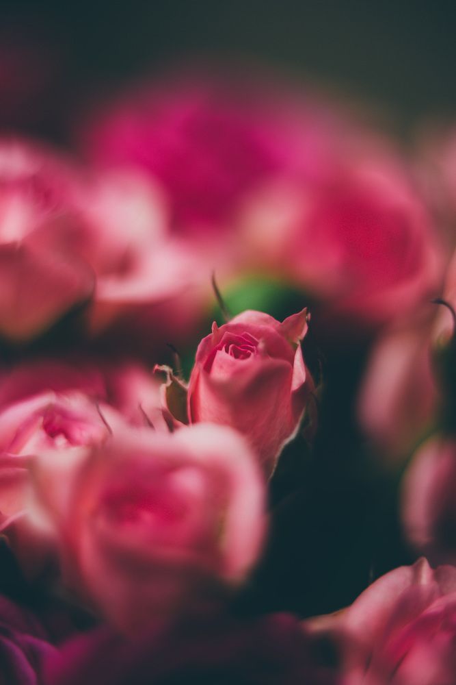 Photograph by Светлана Субботина