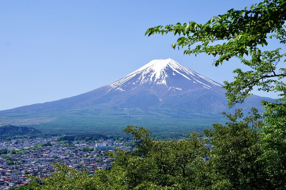 Фотография автора Liudmila Kiermeier