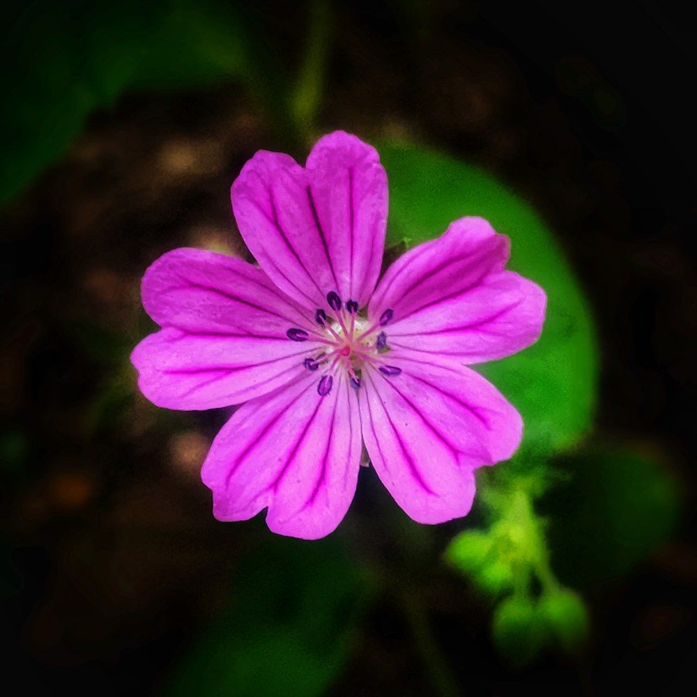 Фотография автора reyhane  khavaninzadeh