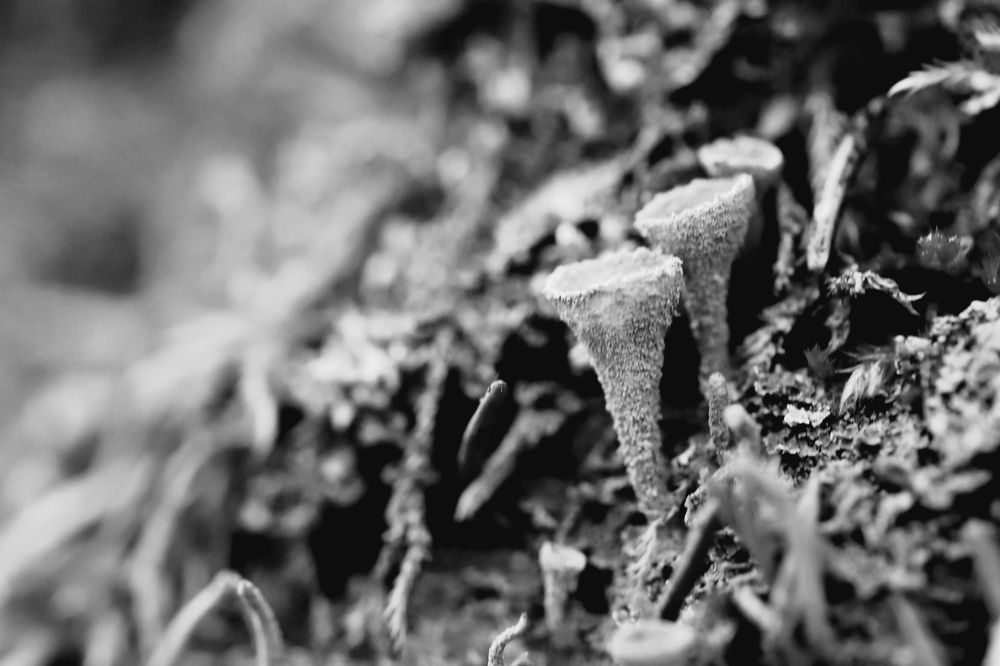 Photograph by Елена Тимченко