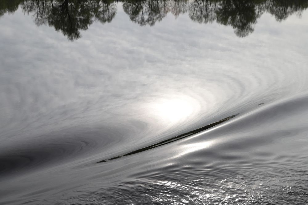 Photograph by Елена Тимченко