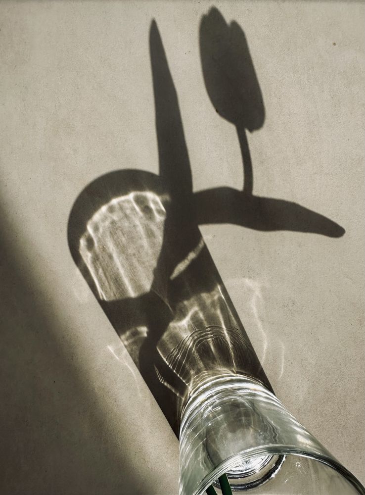 Photograph by Olga Strelnikova Shchetinina