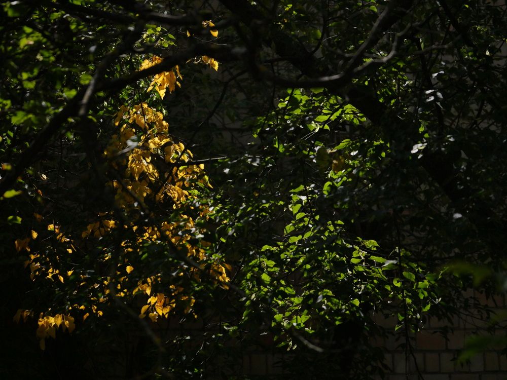 движэние цвета