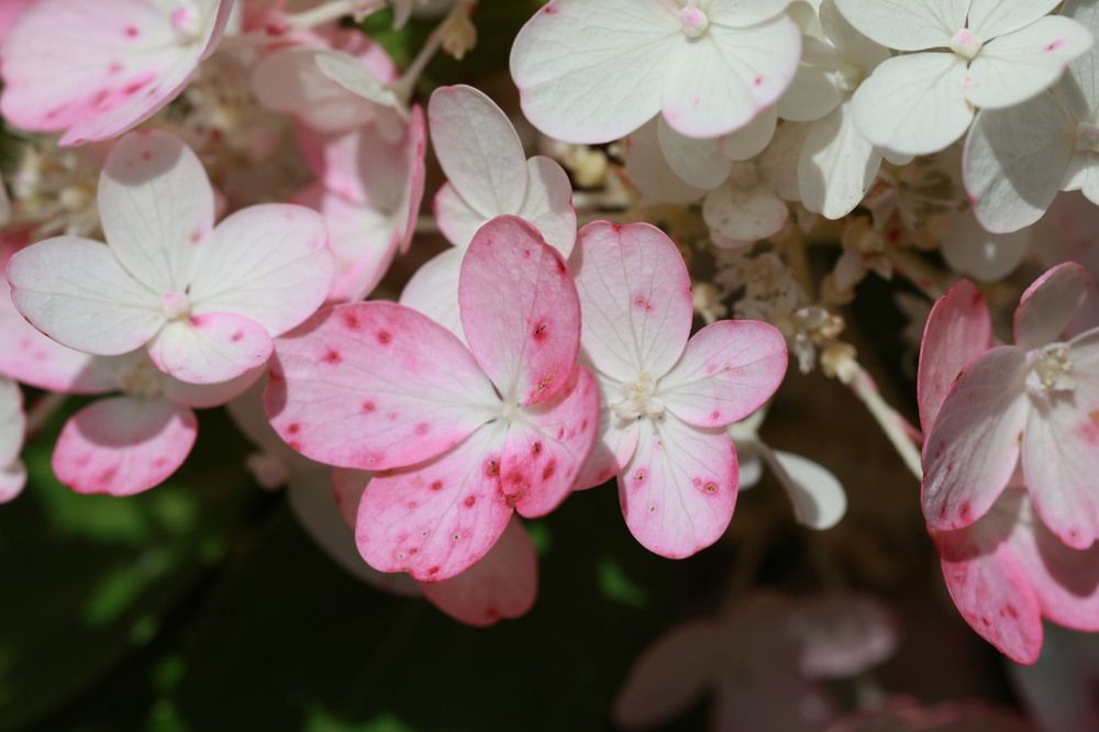 Photograph by Наталья Латыпова