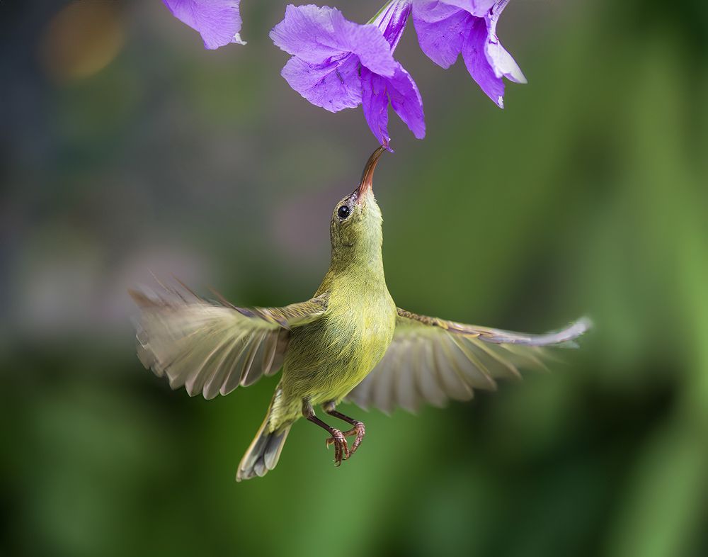 Photograph by NGUYEN HAI