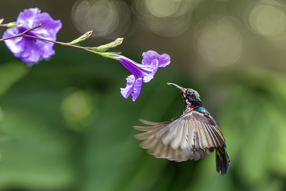 Photograph by NGUYEN HAI