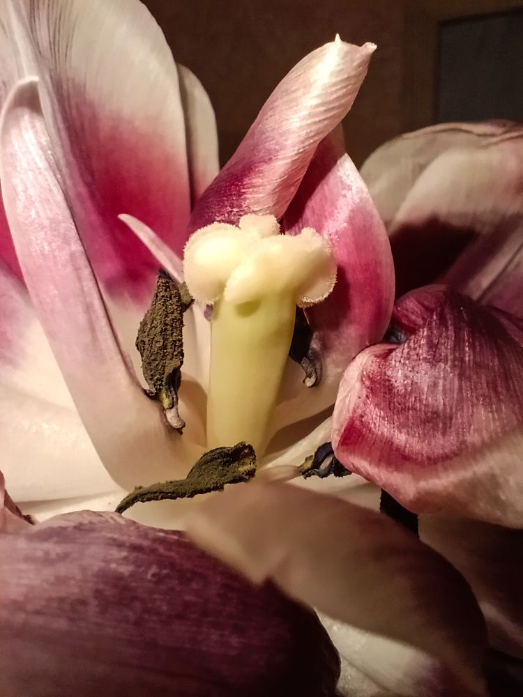 Photograph by Дарья Колесниченко