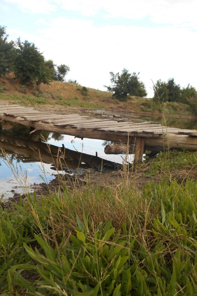 Photograph by Дарья Колесниченко