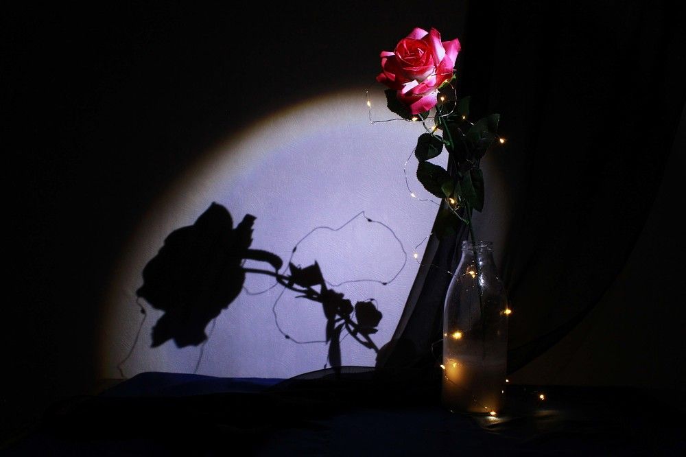 Photograph by Дарья Колесниченко