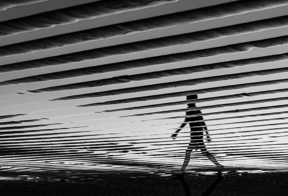 Photograph by NGUYEN HAI