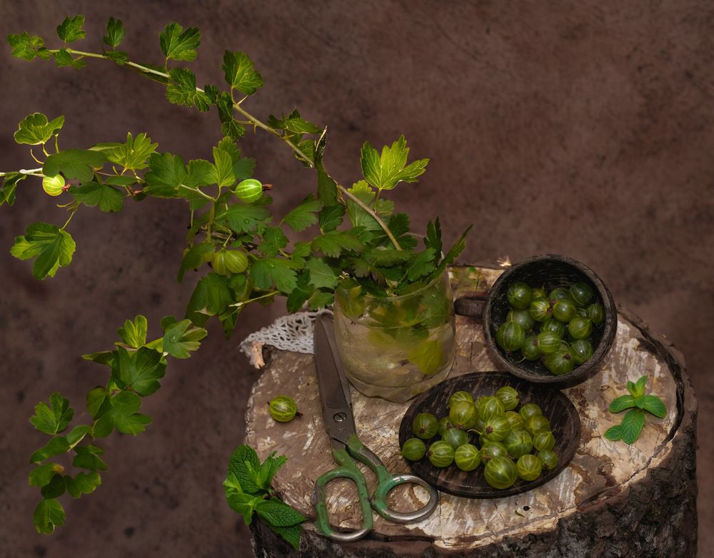 Photograph by Marina Ivanova