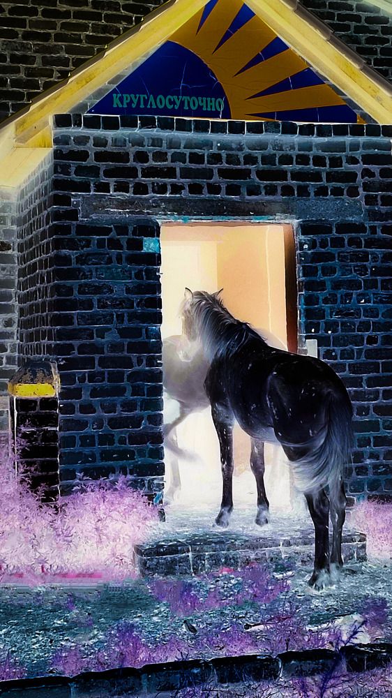 Photograph by Selina Marina