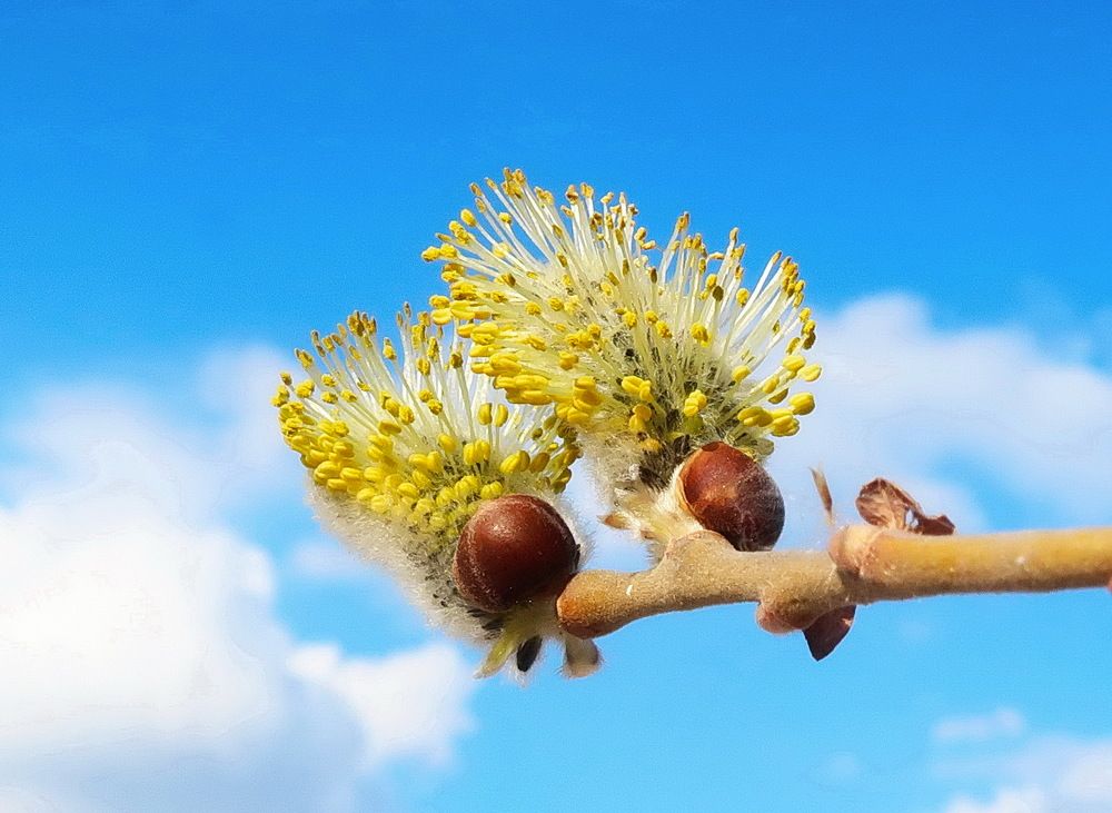 Photograph by Нина