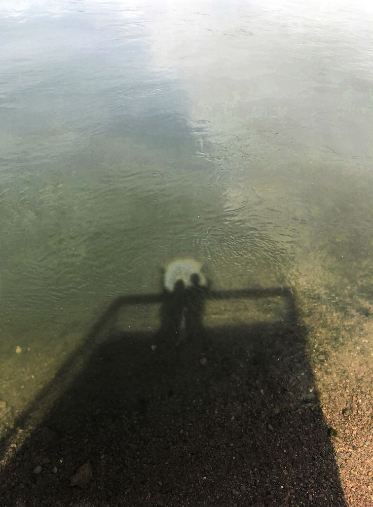 Фотография автора Светлана Гончарова