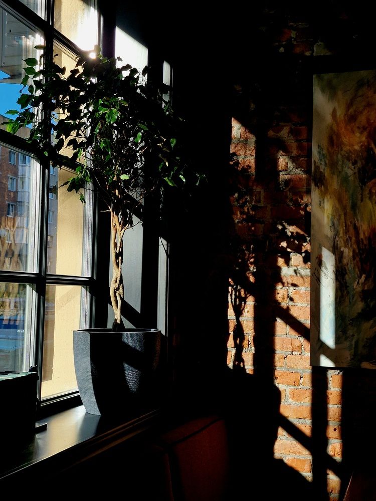 Фотография автора Maryna Pytliak