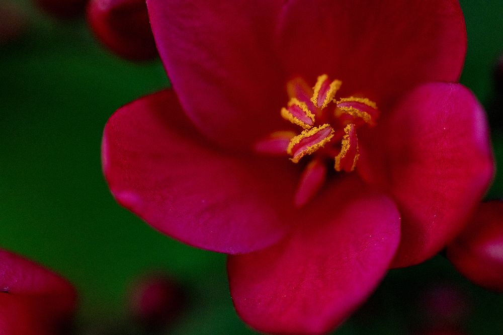 Фотография автора Abie Davies Thekkanath