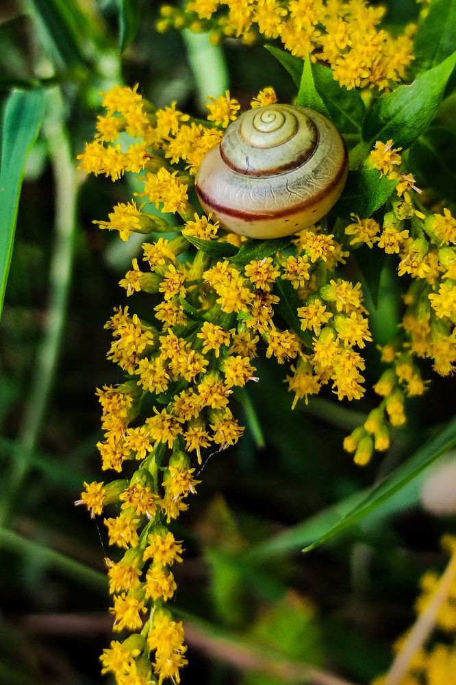 Photograph by Evgenia Korchagova