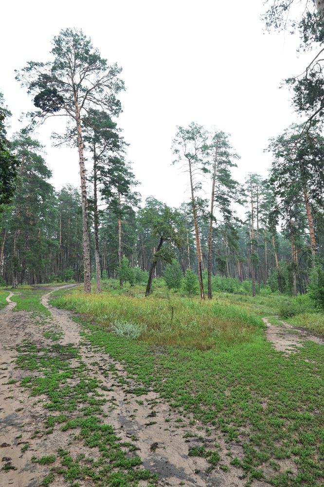 Photograph by Алексей Volg