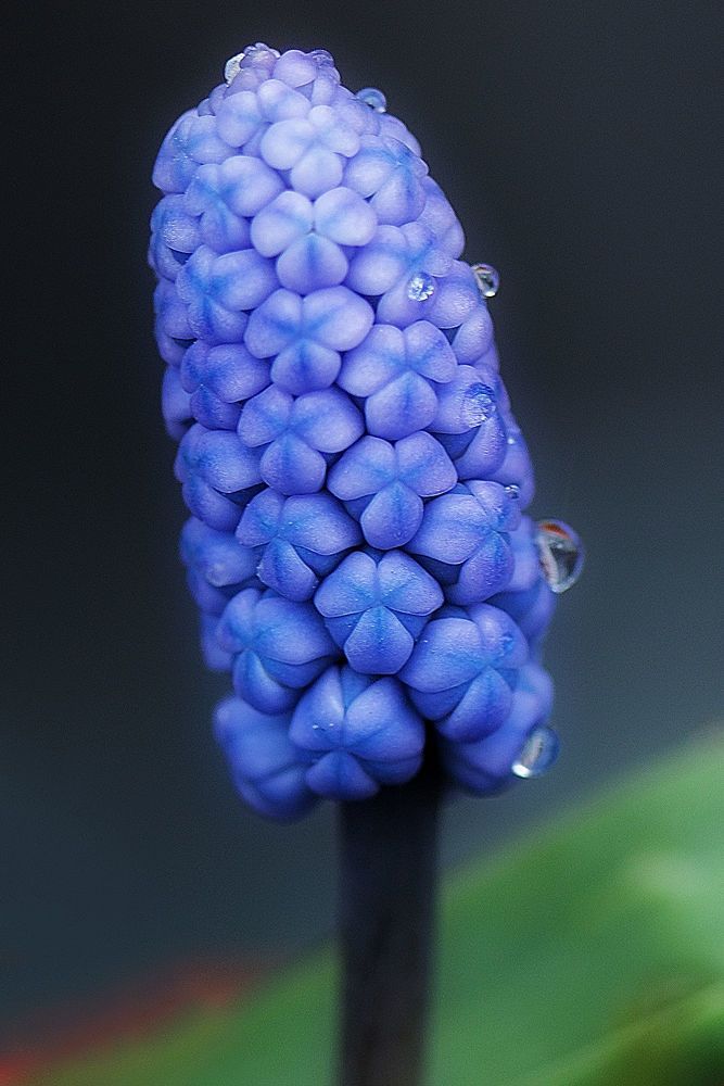 Photograph by Александр К