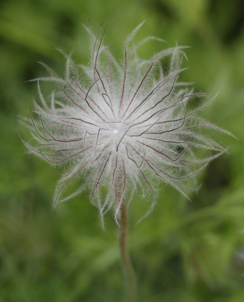 Photograph by Александр К