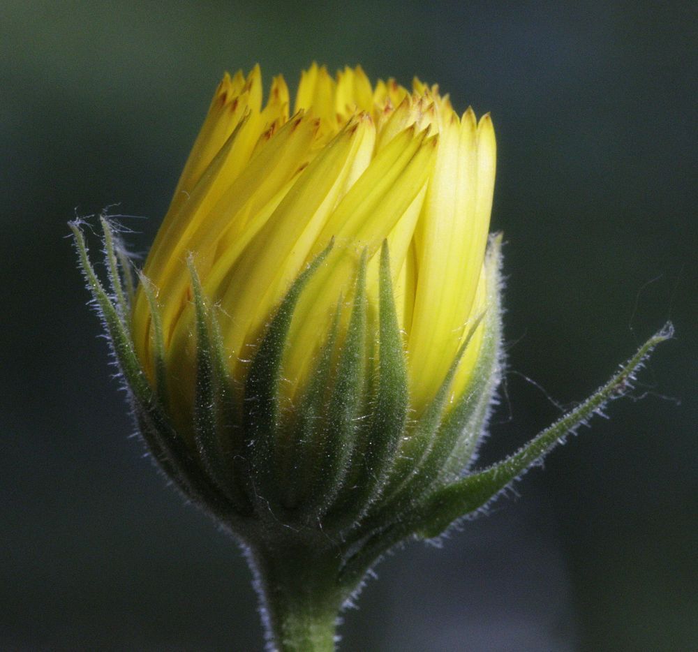 Photograph by Александр К