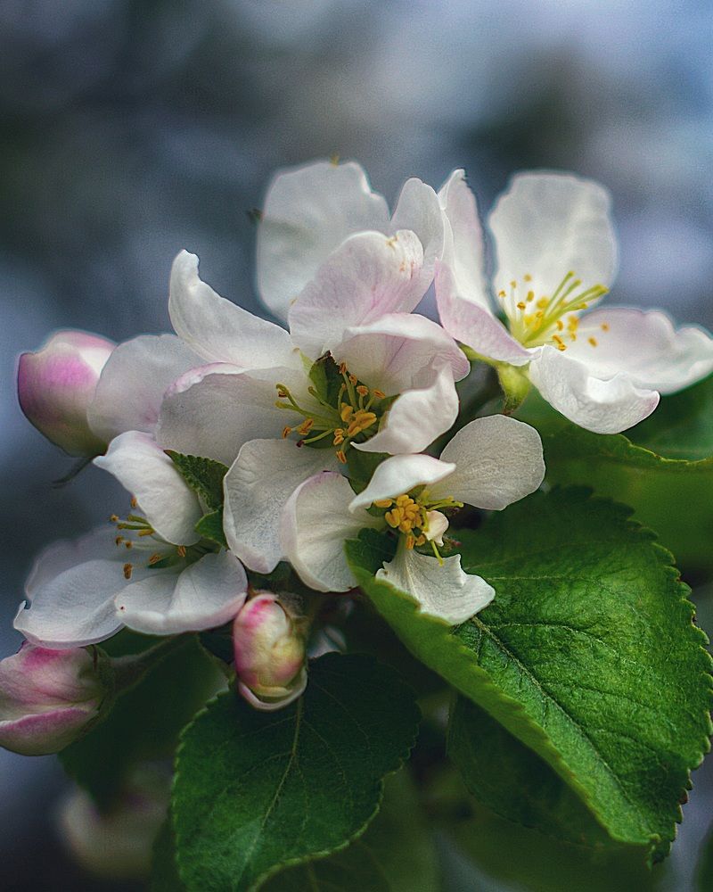 Photograph by Елена Квасова