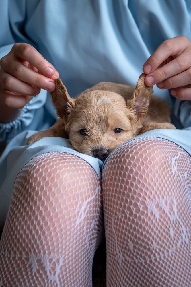 Photograph by Dina Damotseva