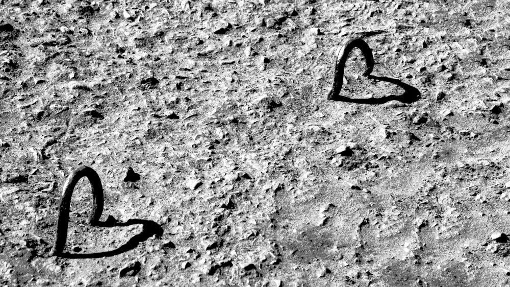 Photograph by Екатерина Бахтинова