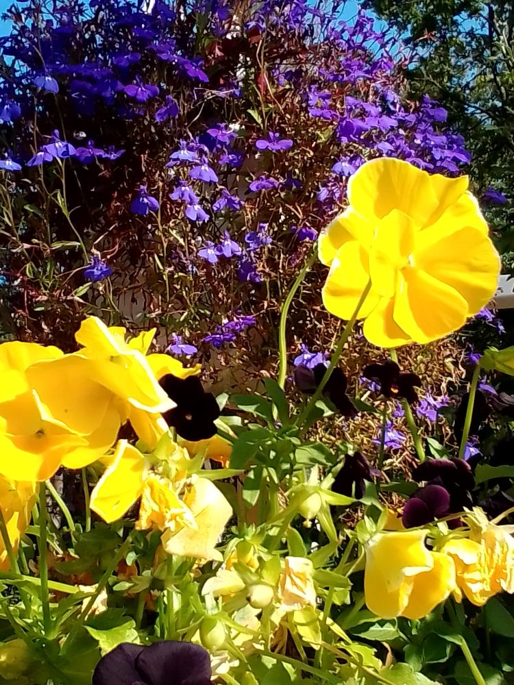 Photograph by Irina Mihailovskaya