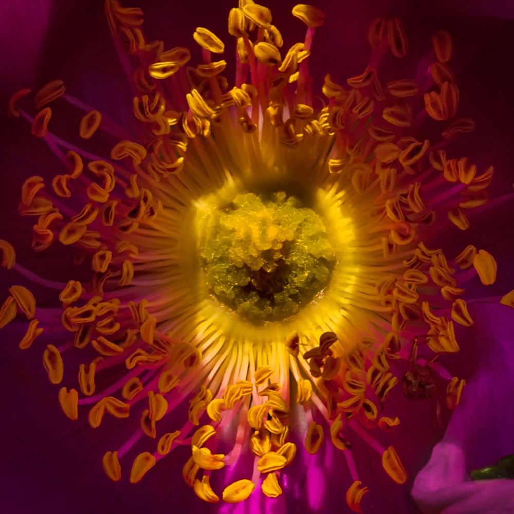 Photograph by Ольга Мусиенко