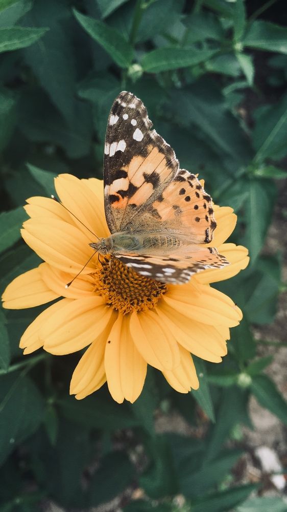 Photograph by Ангелина Марушко