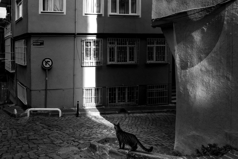 Photograph by Chetan Verma