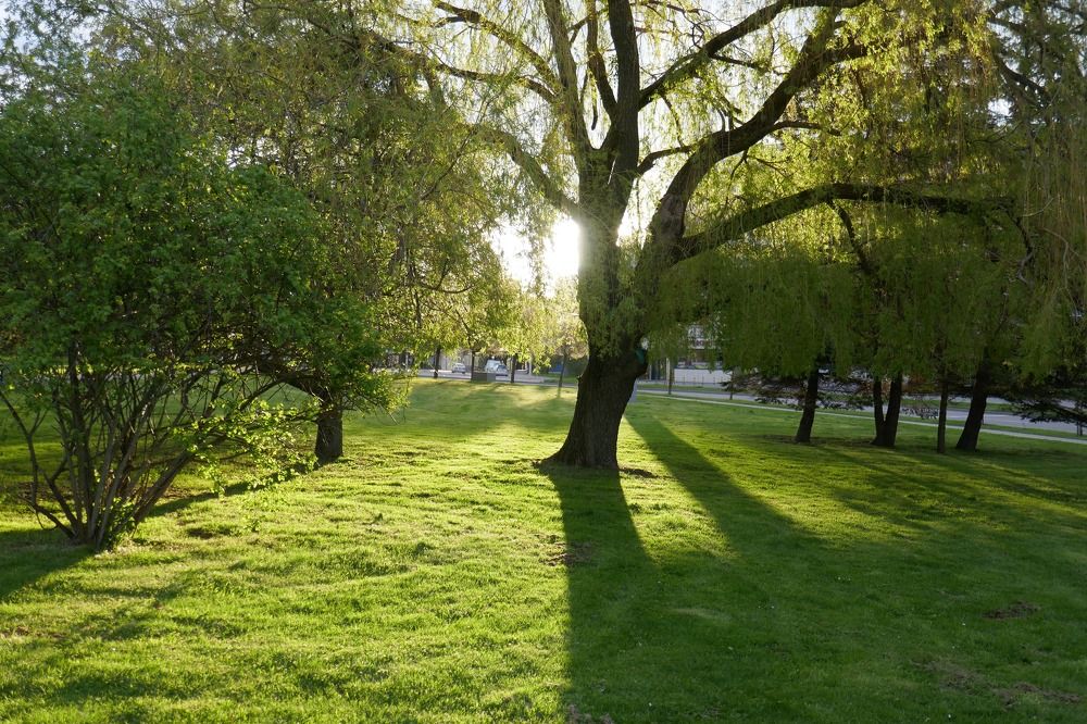 Photograph by Антон