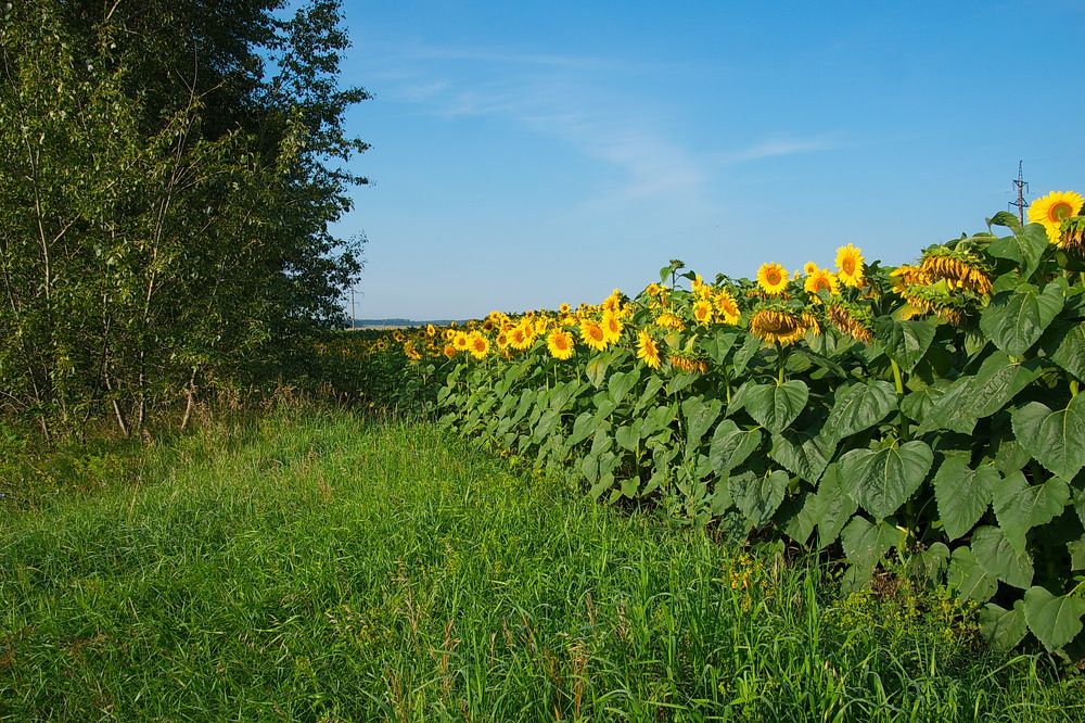 Photograph by Василий Быстрицкий