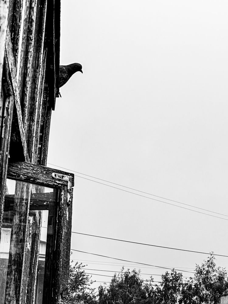 Фотография автора Ирина Чудакова