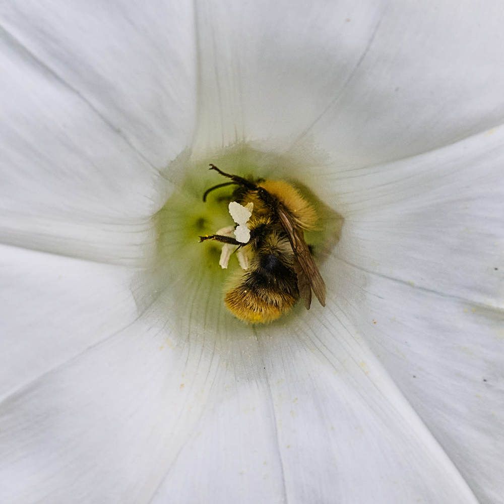 Photograph by Дмитрий Солодухин