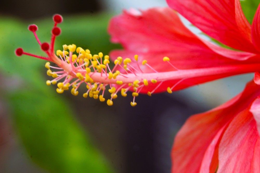 Фотография автора Nadarajan Lakshmanswamy