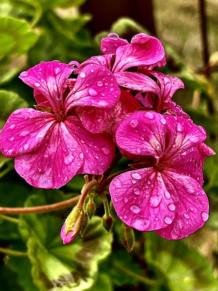 Photograph by Виктория Максименко