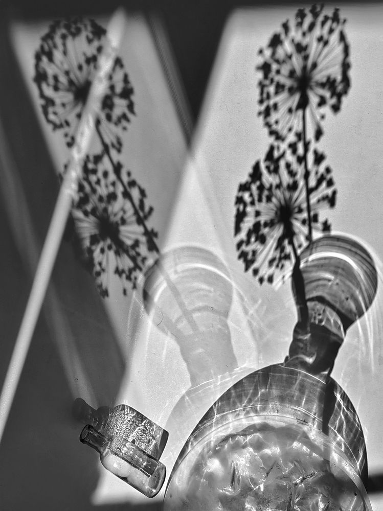 Фотография автора Татьяна Егорова