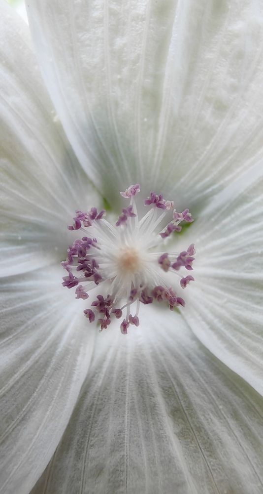 Photograph by Наталия Мельникова