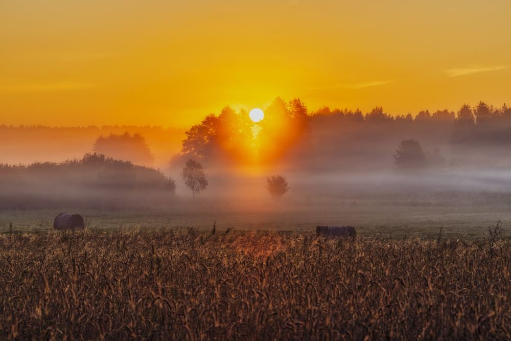 Photograph by Budyta Dariusz