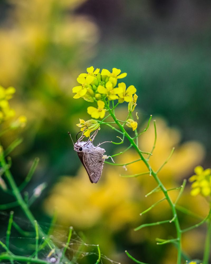 Photograph by FARZIN ABEDINI
