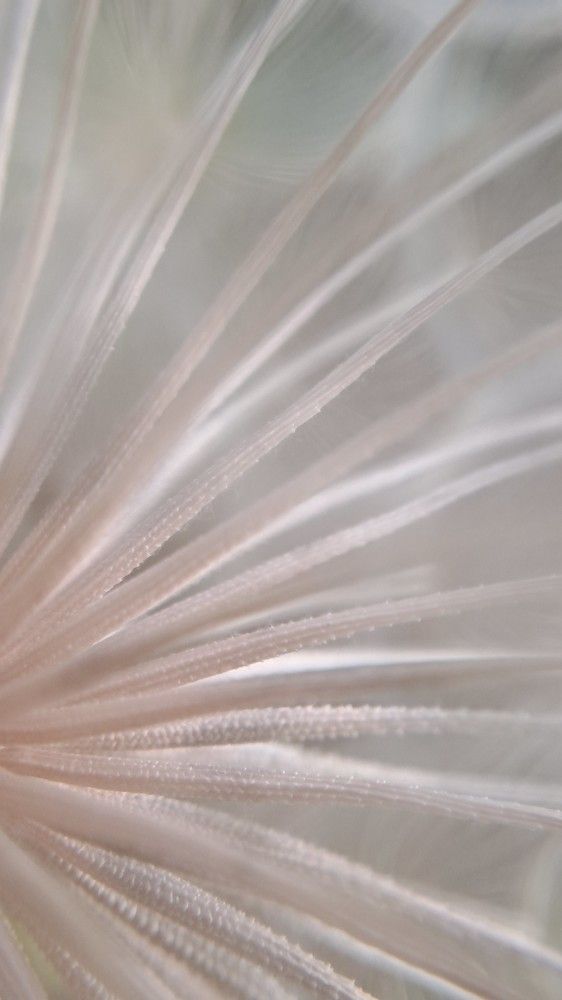 Photo #10924689