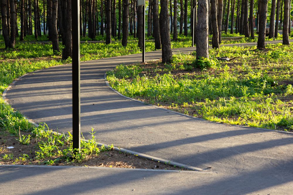 Photograph by Александр Коковихин