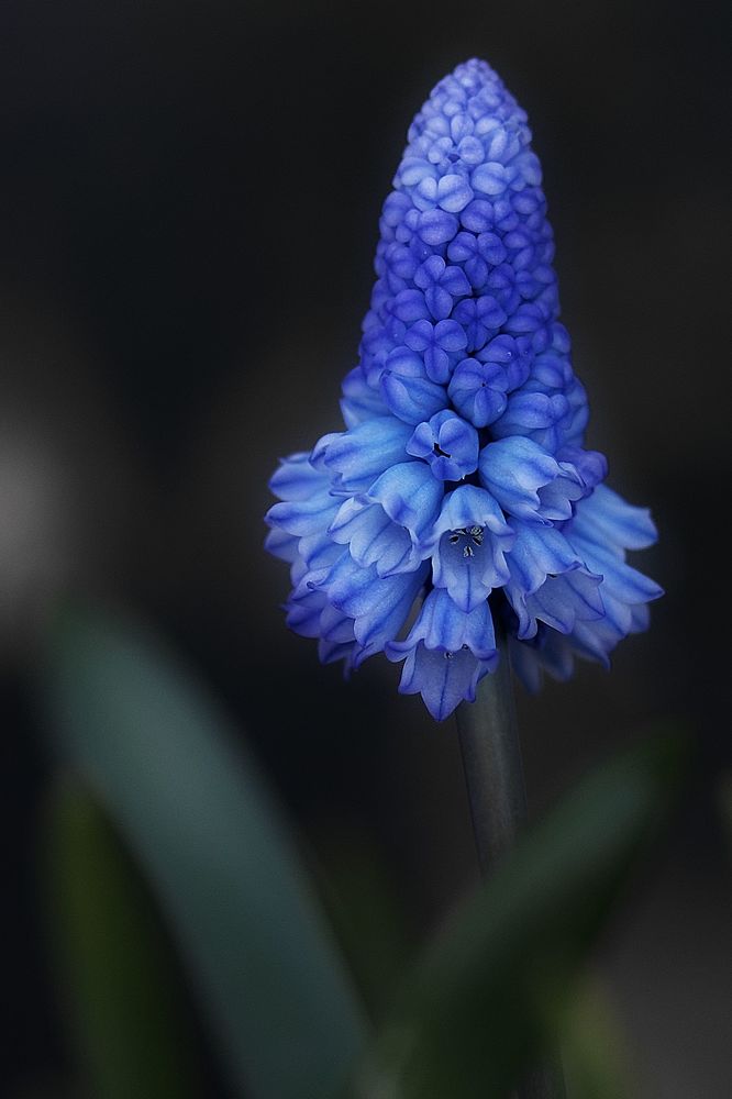 Photograph by Marina Krivitskaya