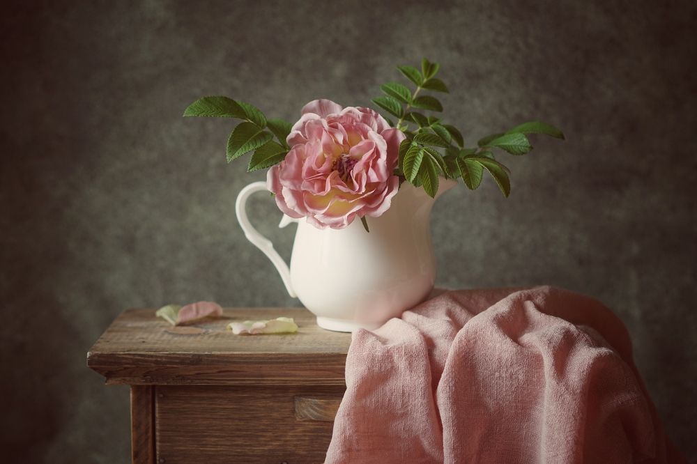 Photograph by Ольга Вороная