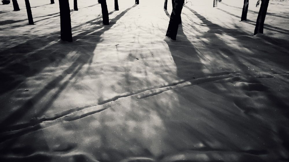 Photograph by Калюнова Наталья