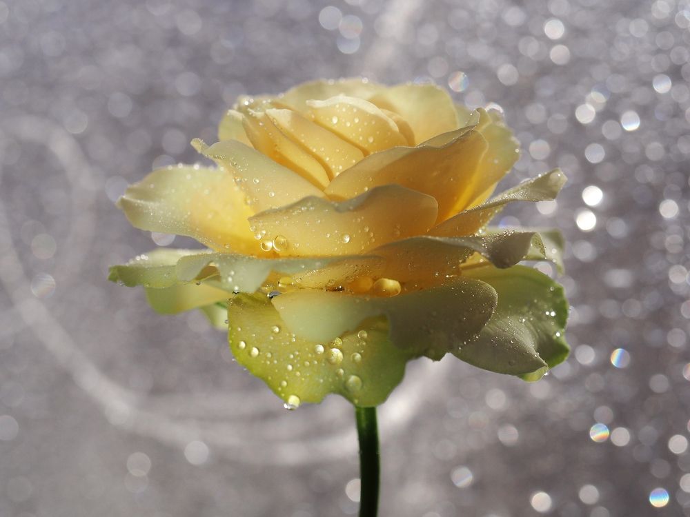 Photograph by Александр Попов