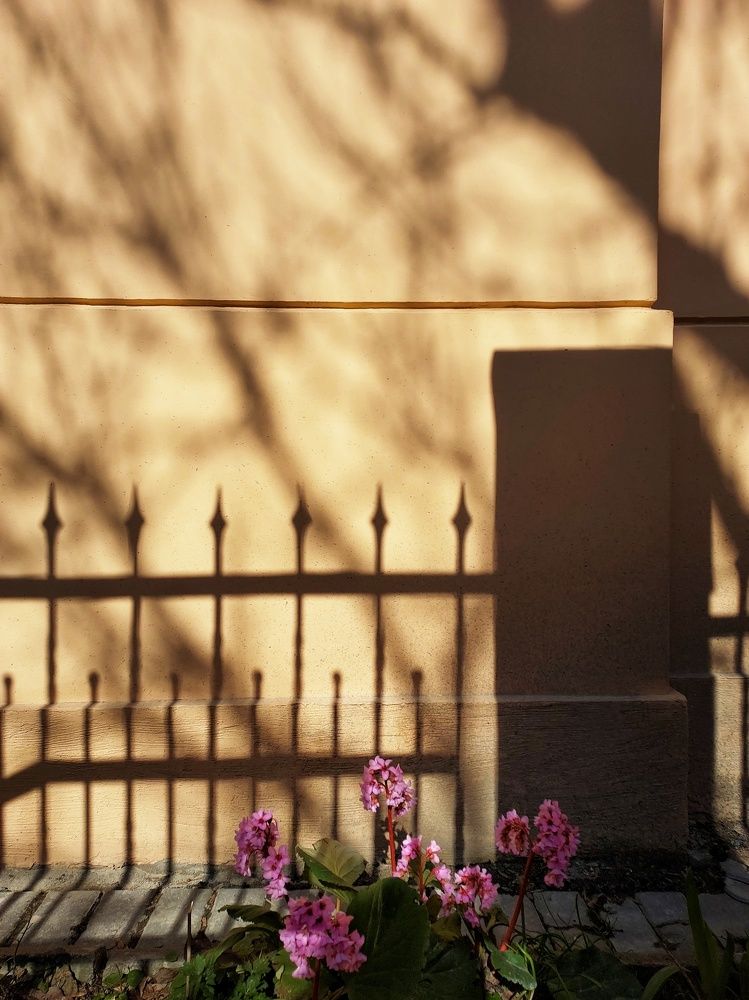 Photograph by Наталия Дроздова