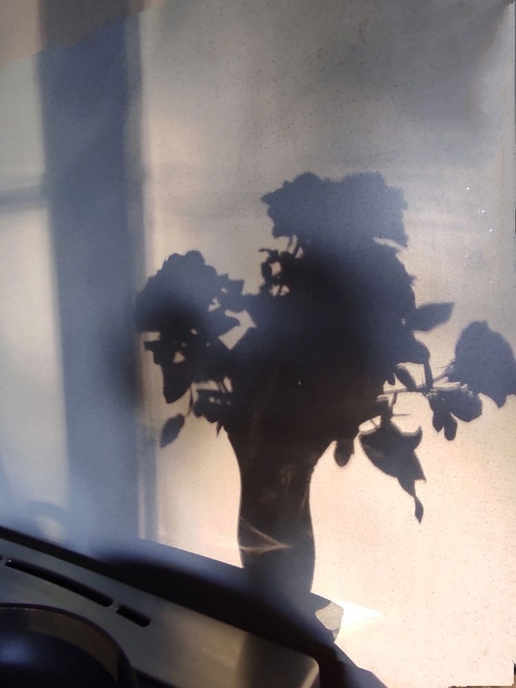 Photograph by Анна Михайловна